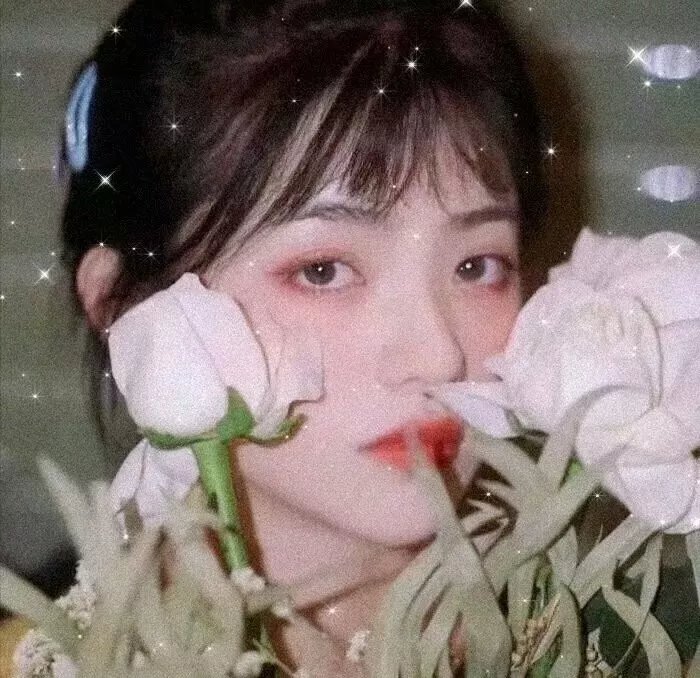万紫千红花弄蝶